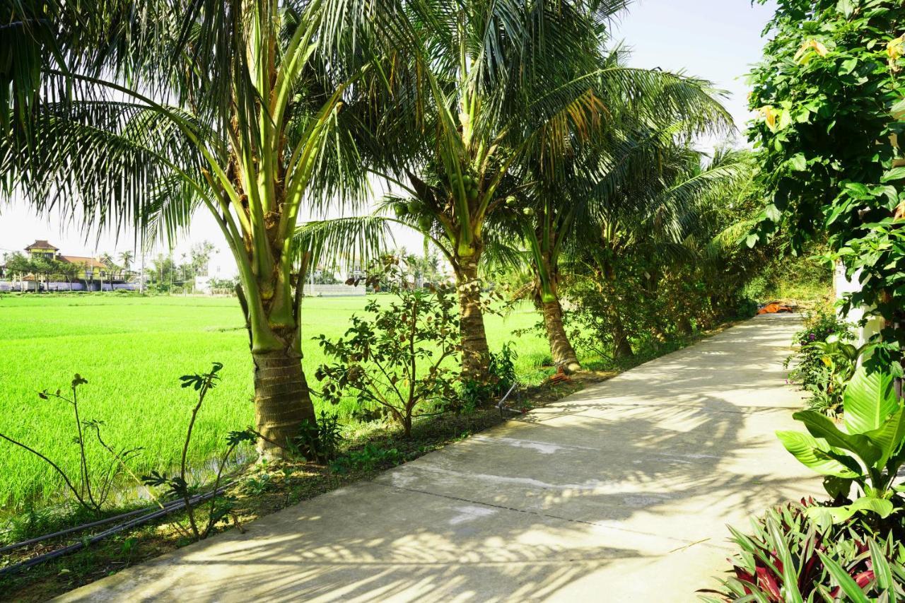 Hoang Y Homestay Hoi An Exterior foto